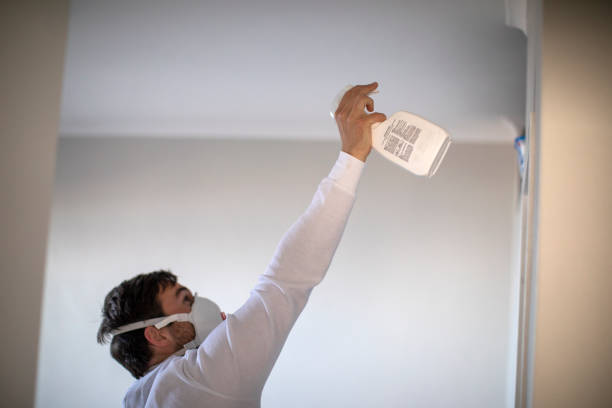 Mold Testing and Removal in Corpus Christi, TX