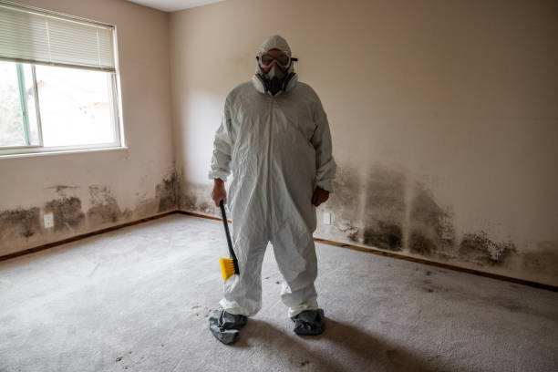 Best Commercial Mold Removal  in Corpus Christi, TX