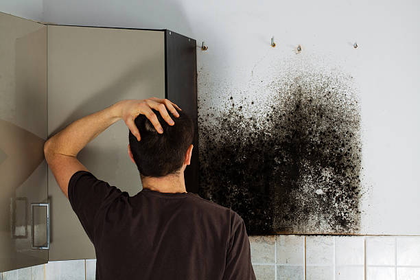 Office Mold Removal Services in Corpus Christi, TX